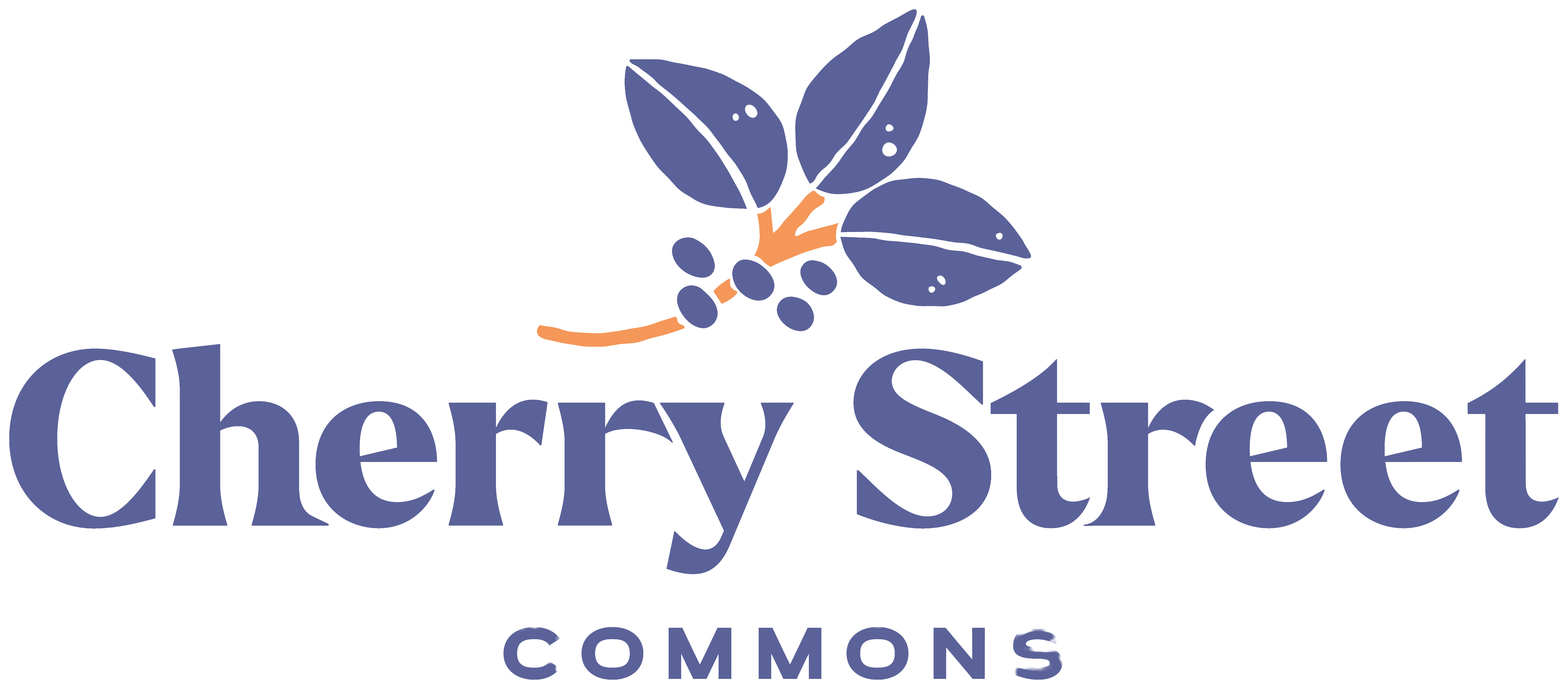 Cherry Street Commons